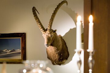 Interior detail