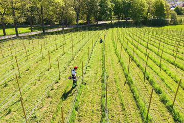 Winery