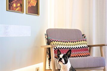 Pet-friendly