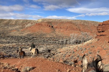 Horseback riding