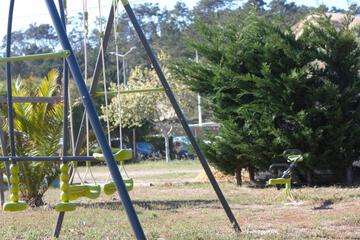 Photo 46