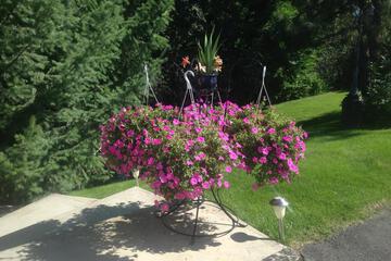 Photo 24