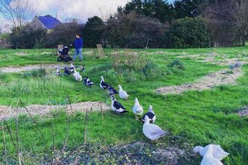 Photo 45