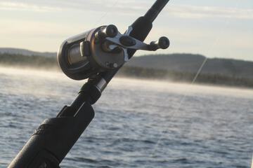 Fishing