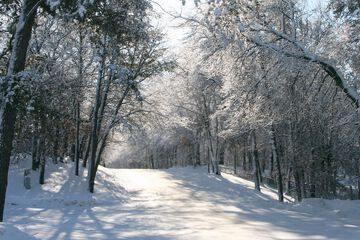 Land view from property