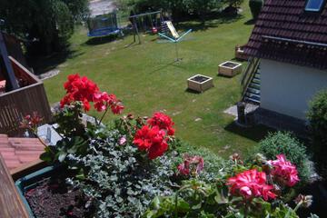 Photo 46