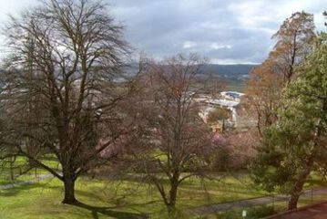 View from Hotel