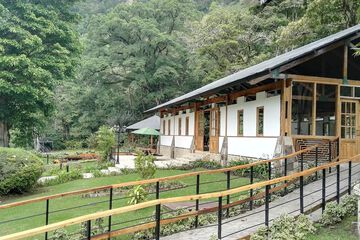 Outdoor wedding area