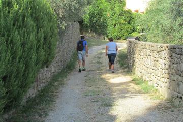 Photo 30