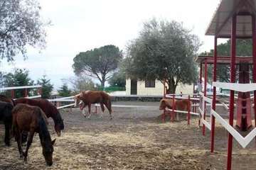 Children's activities