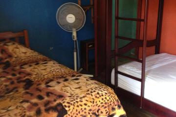 Photo 28
