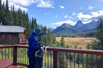 View from property