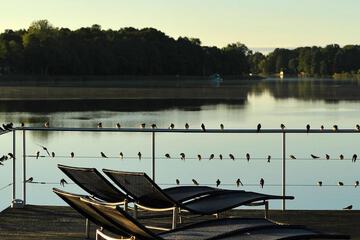 Property amenity