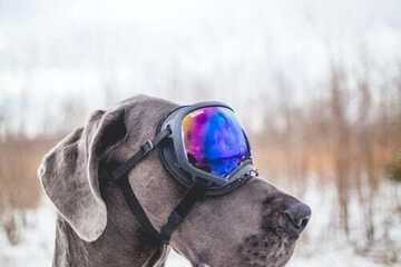 Ski hill