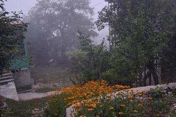 Photo 27