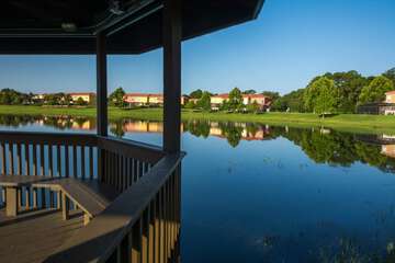 Lake view
