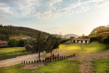 Mountain view