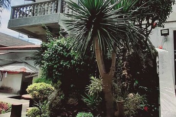 Building design