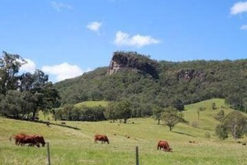  Rosevale House 13