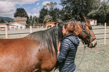 Horseback riding
