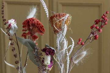Photo 44
