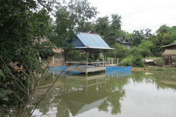 Fishing