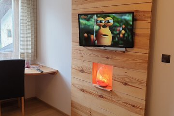 Television