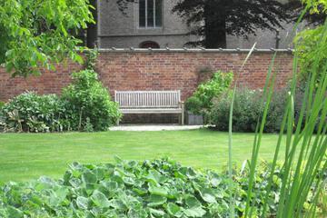 Photo 43