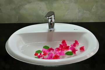 Bathroom sink