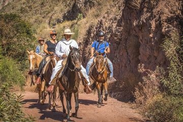 Horseback riding