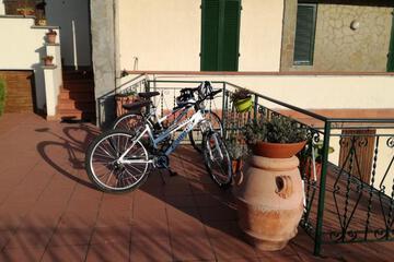 Photo 24