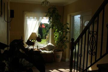Photo 45