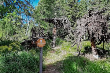 Hiking
