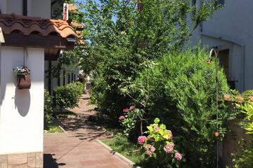 Photo 29
