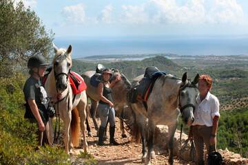 Horseback riding