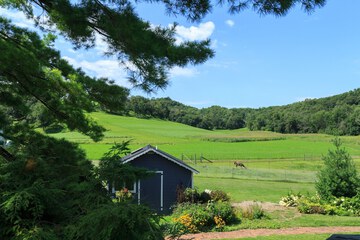 Land view from property