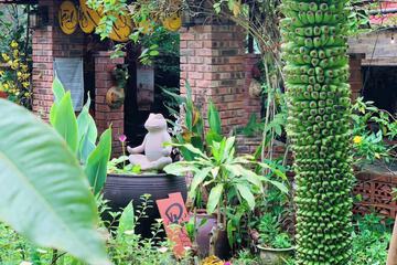 Courtyard view