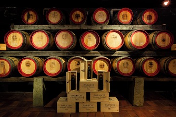 Winery