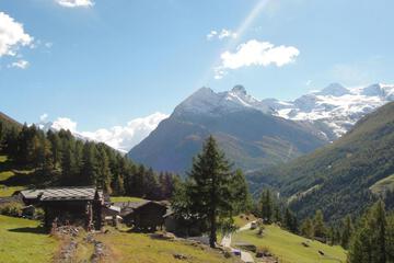 Photo 41