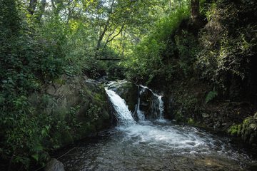 Hiking