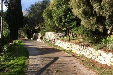 Photo 54