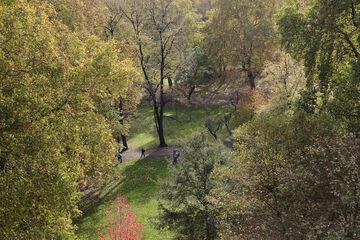 Park view