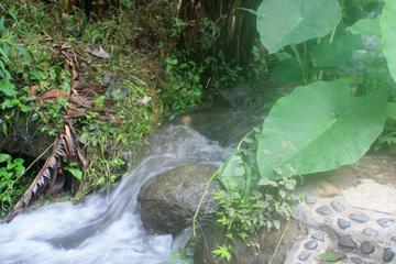 Photo 28