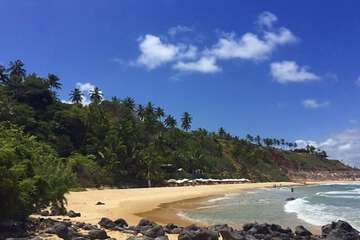 Beach bar