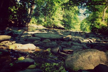 Hiking