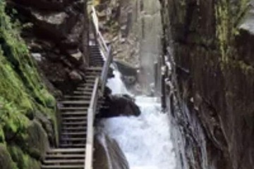 Children's activities