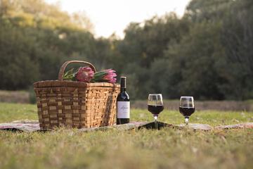 BBQ/picnic area