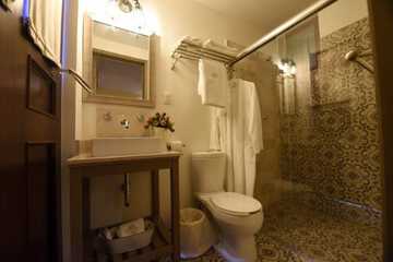 Bathroom shower