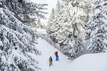 Snowshoeing