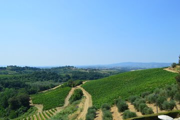 Ecotours